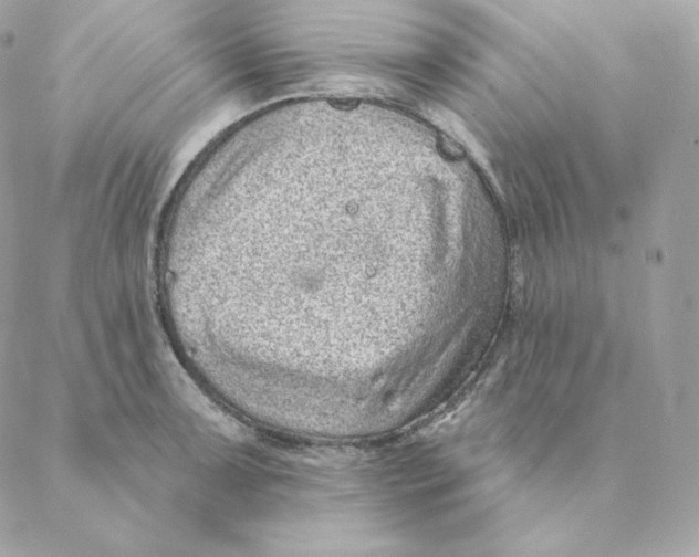 X0000088571091200706151640