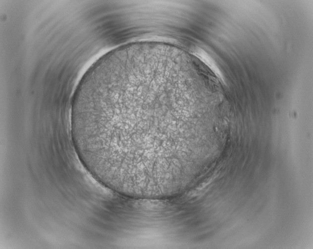 X0000088571092200706151640