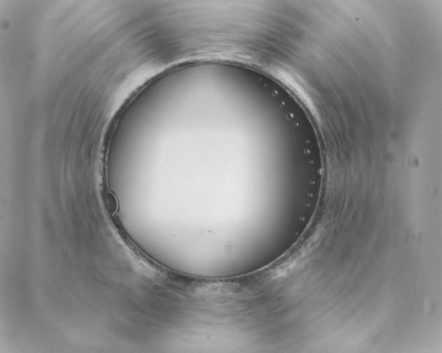 X0000088571093200706151640