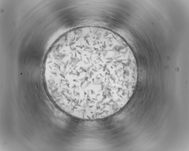 X0000088571094200706151640