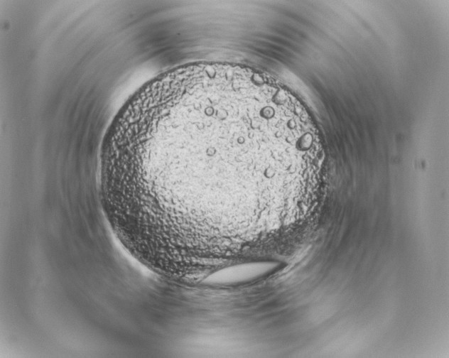 X0000088571095200706151640