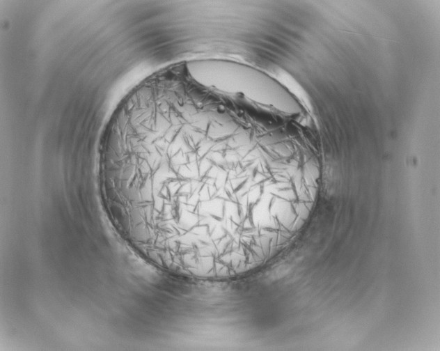 X0000088571096200706151640