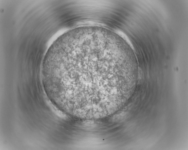 X0000088571098200706151640