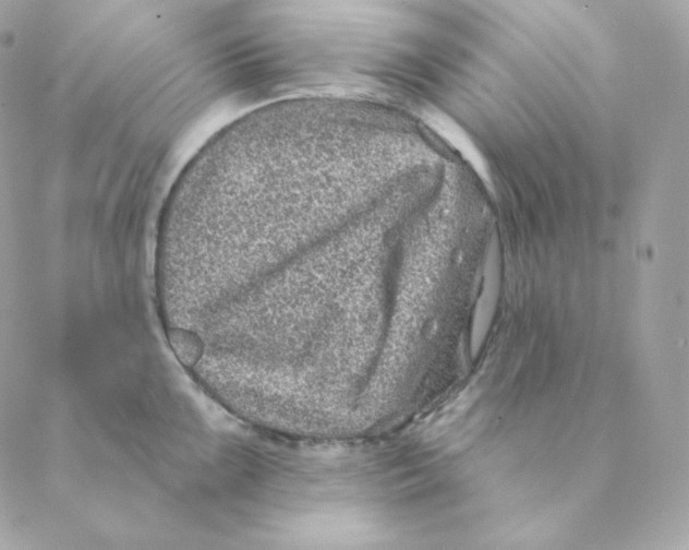 X0000088571099200706151640