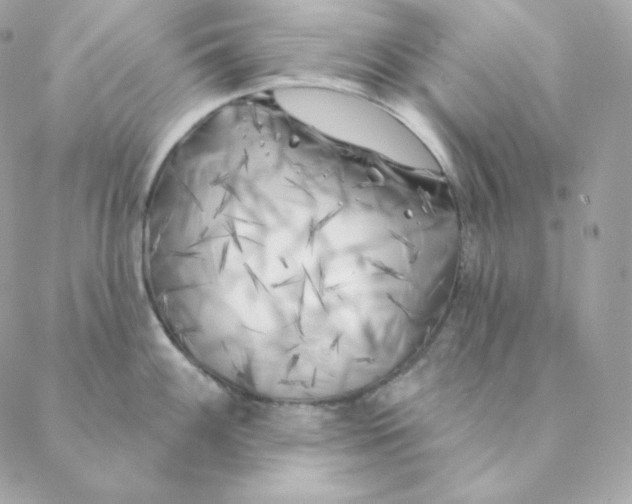 X0000088571100200706151640