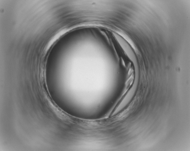 X0000088571101200706151640