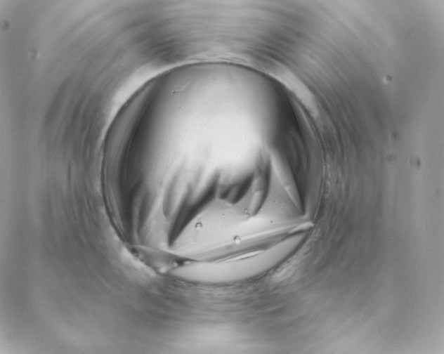 X0000088571102200706151640