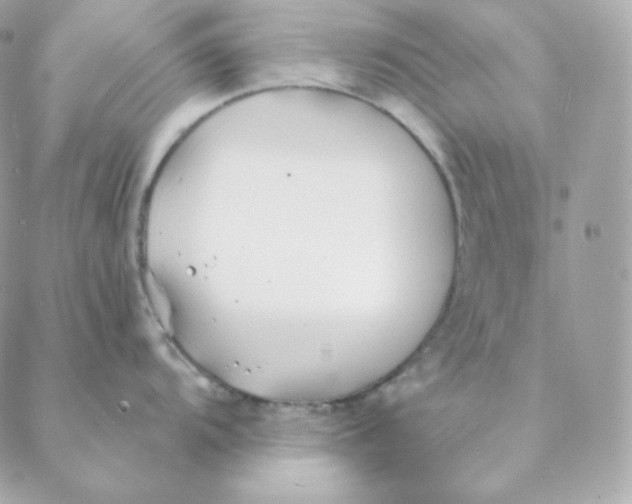 X0000088571104200706151640