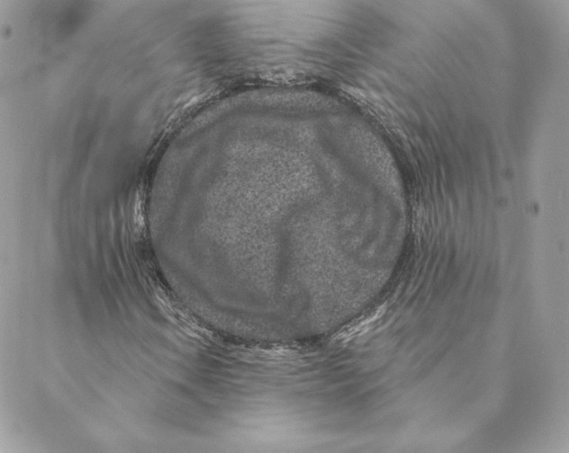 X0000088571106200706151639