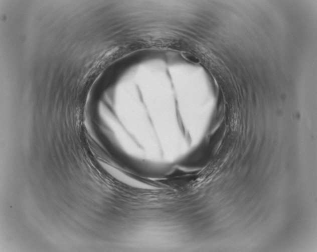 X0000088571108200706151639