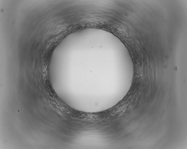 X0000088571109200706151639