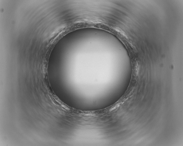 X0000088571110200706151639
