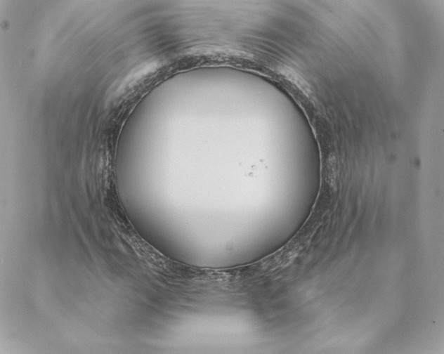 X0000088571111200706151639