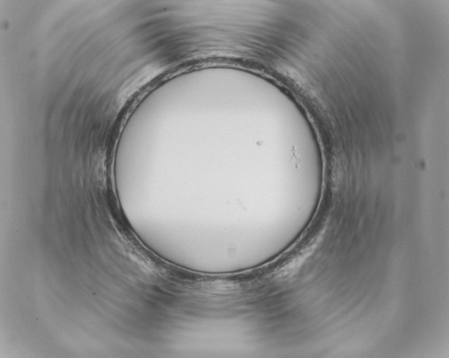 X0000088571113200706151639