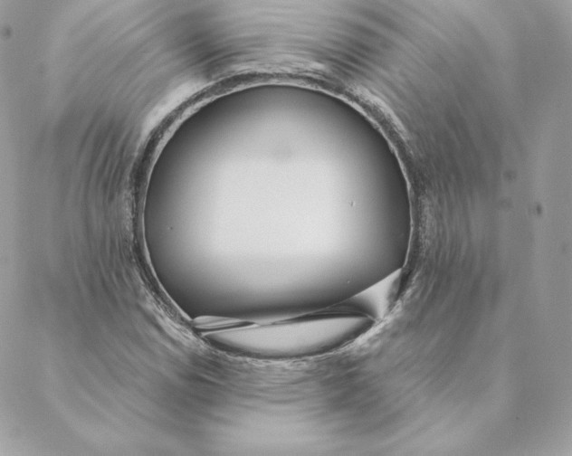 X0000088571114200706151639