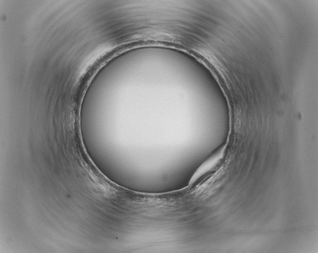 X0000088571115200706151639