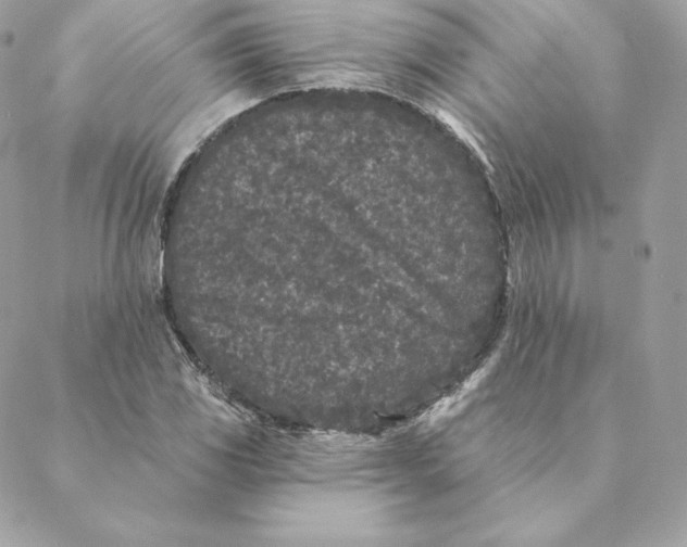 X0000088571117200706151639