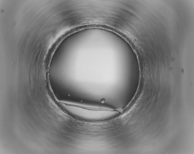 X0000088571118200706151639