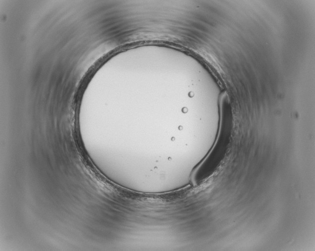 X0000088571119200706151639