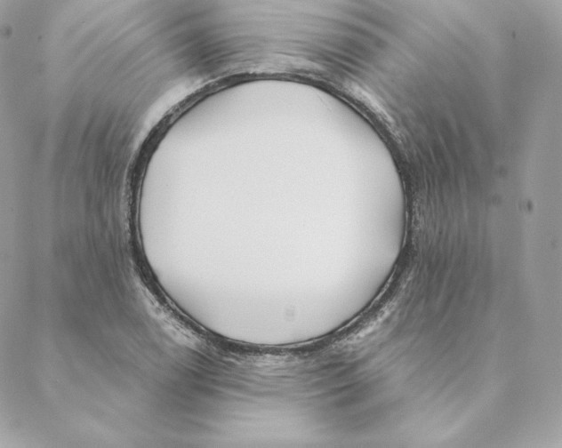 X0000088571122200706151640