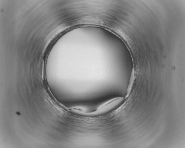 X0000088571123200706151640