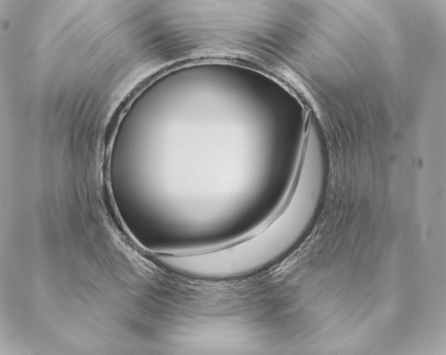 X0000088571124200706151640