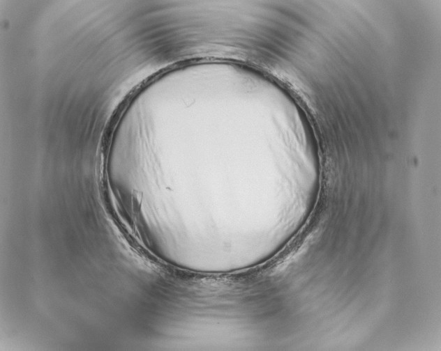 X0000088571125200706151640