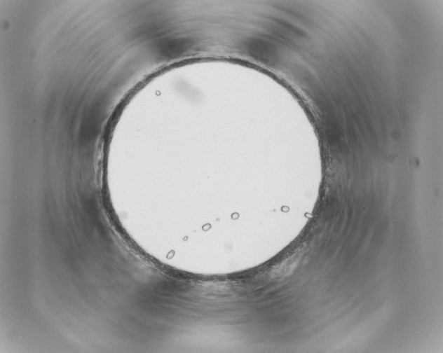 X0000088571126200706151640