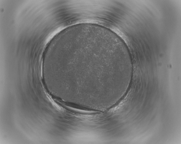 X0000088571127200706151640