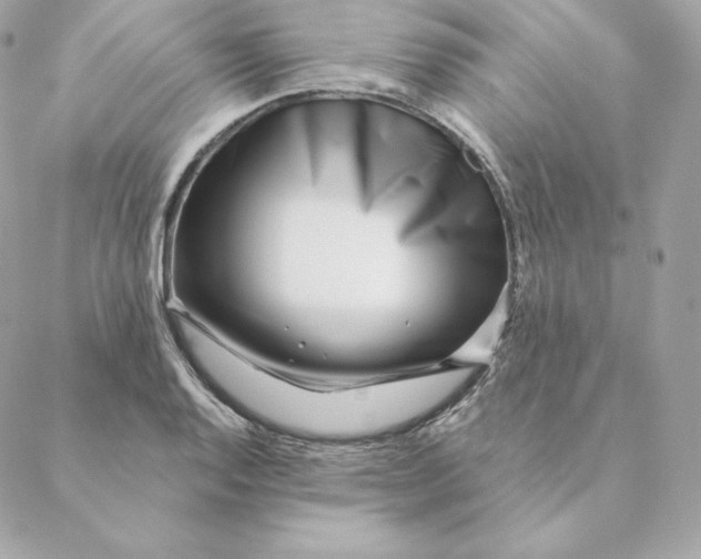 X0000088571128200706151640