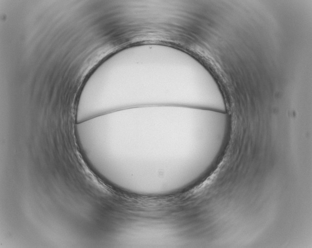 X0000088571129200706151640