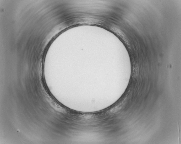 X0000088571130200706151640