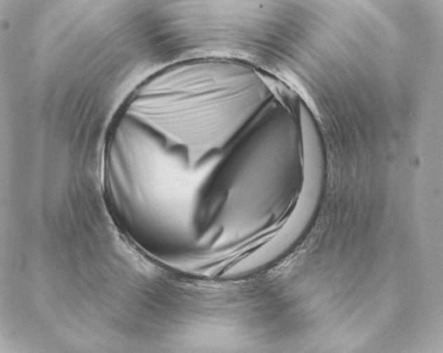 X0000088571132200706151640