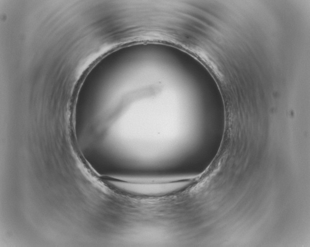 X0000088571134200706151640