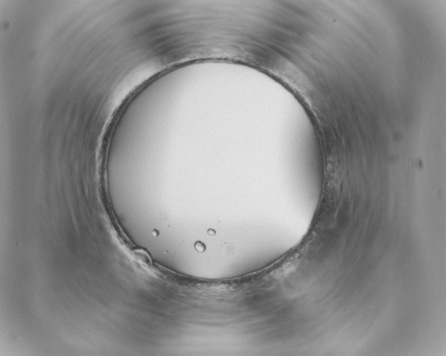 X0000088571135200706151640