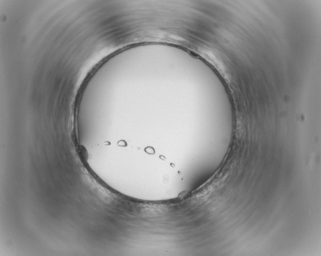 X0000088571136200706151640