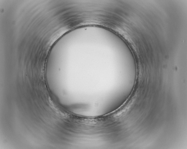 X0000088571137200706151640