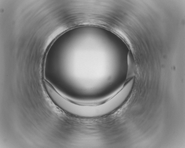 X0000088571138200706151640