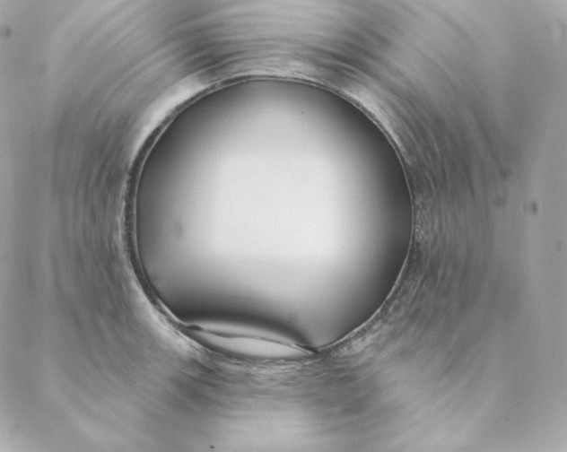 X0000088571139200706151640