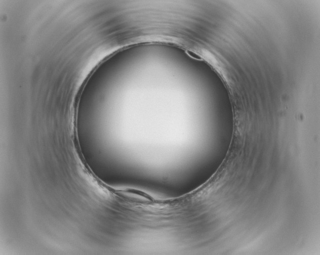 X0000088571140200706151640