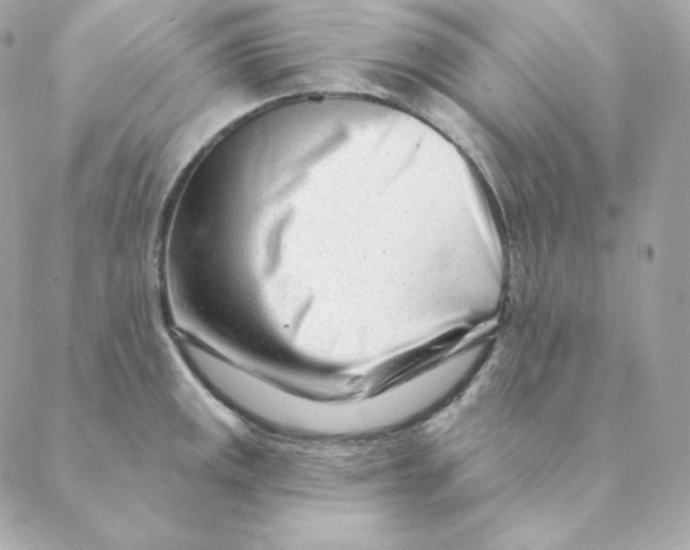 X0000088571141200706151640