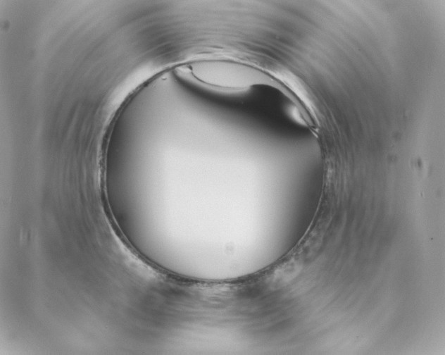 X0000088571143200706151640