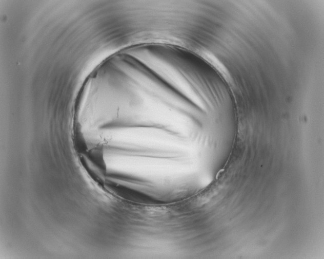 X0000088571144200706151640