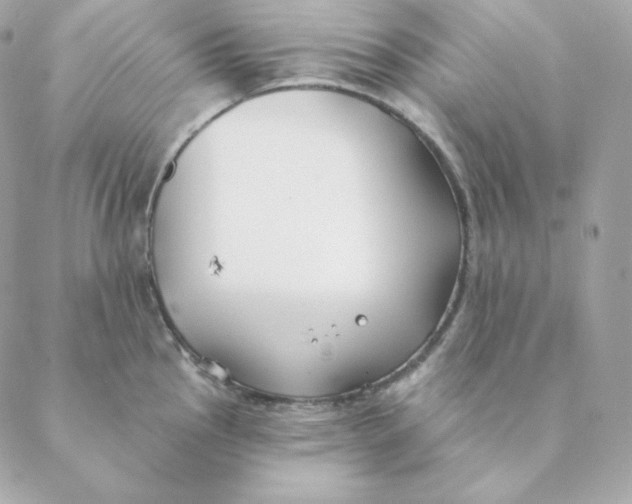 X0000088571145200706151640