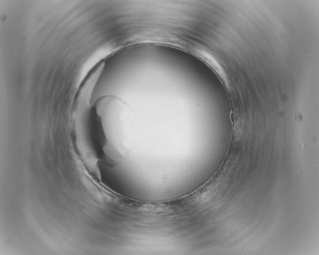 X0000088571146200706151640