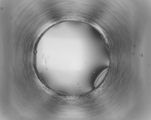 X0000088571147200706151640