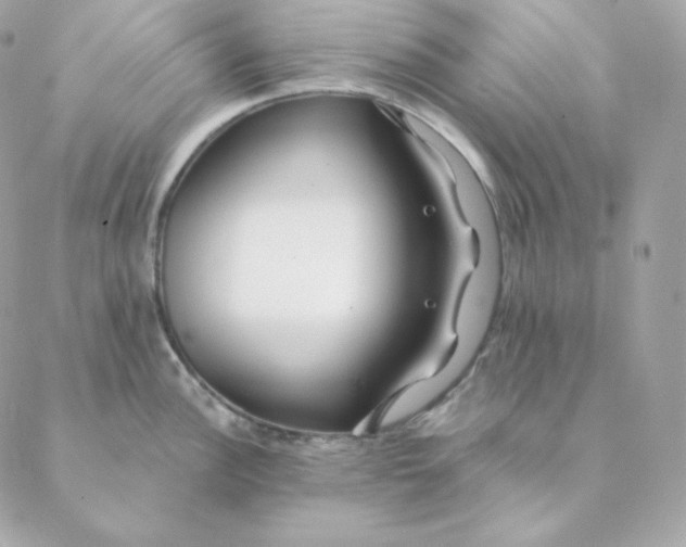 X0000088571148200706151640