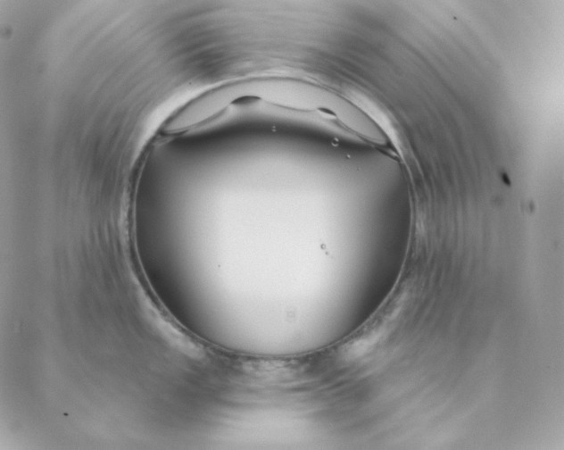 X0000088571149200706151640