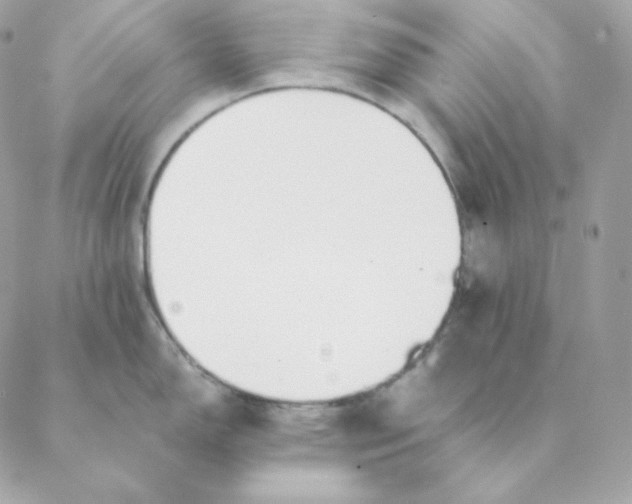 X0000088571150200706151640