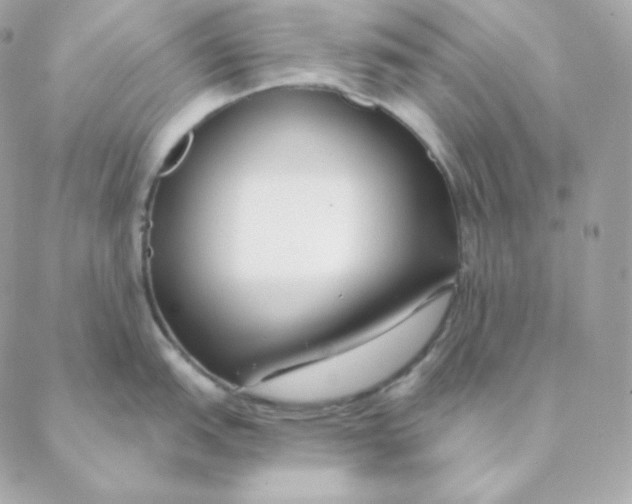 X0000088571151200706151640